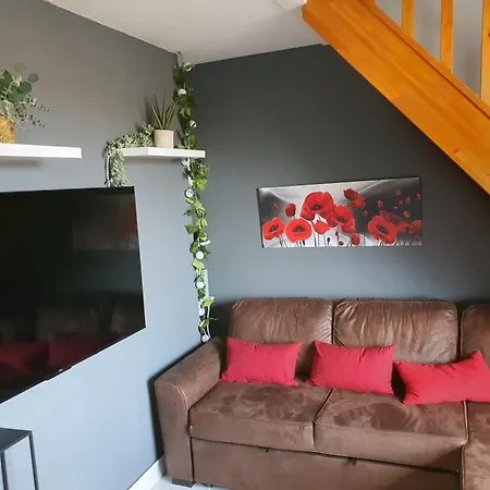 Studio Mezzanine Avec Climatisation Et Acces Piscine - Proche Mer - Cap Coudalere, Barcares - Fr-1-431-218 Апартаменты Ле Баркарес